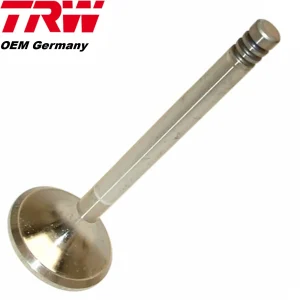 1967-85 BMW 2002 Tii 318i 320i Exhaust Valve OEM TRW Made in Germany 1 251 063